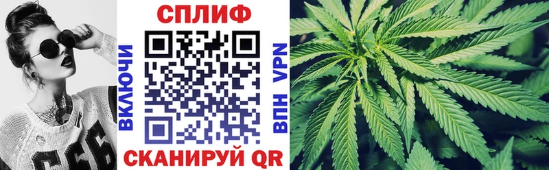 Как найти закладки Макаров ГАШ  COCAIN  Меф  OMG ссылка  Канабис  Амфетамин 