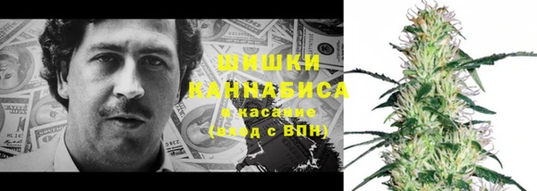 дмт Белокуриха