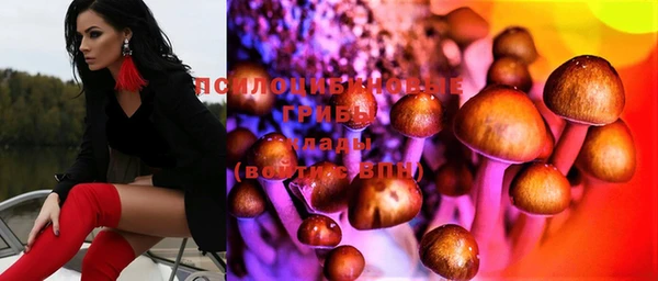 дмт Белокуриха