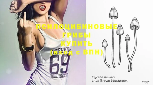 дмт Беломорск