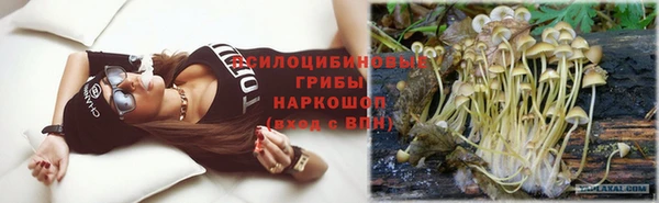 дмт Белокуриха