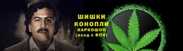 дмт Белокуриха