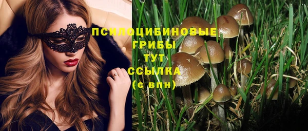 дмт Белокуриха