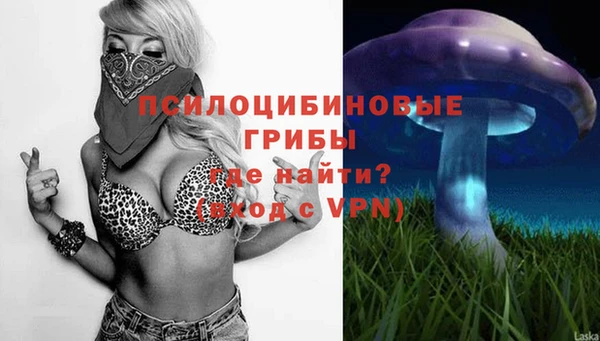 дмт Белокуриха