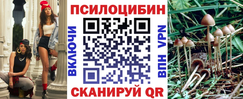 ОМГ ОМГ вход  Макаров  Галлюциногенные грибы Magic Shrooms 